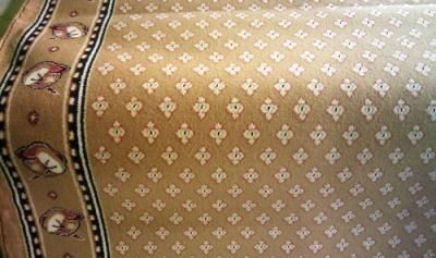 Эксклюзивная ковровая дорожка с фирменным логотипом