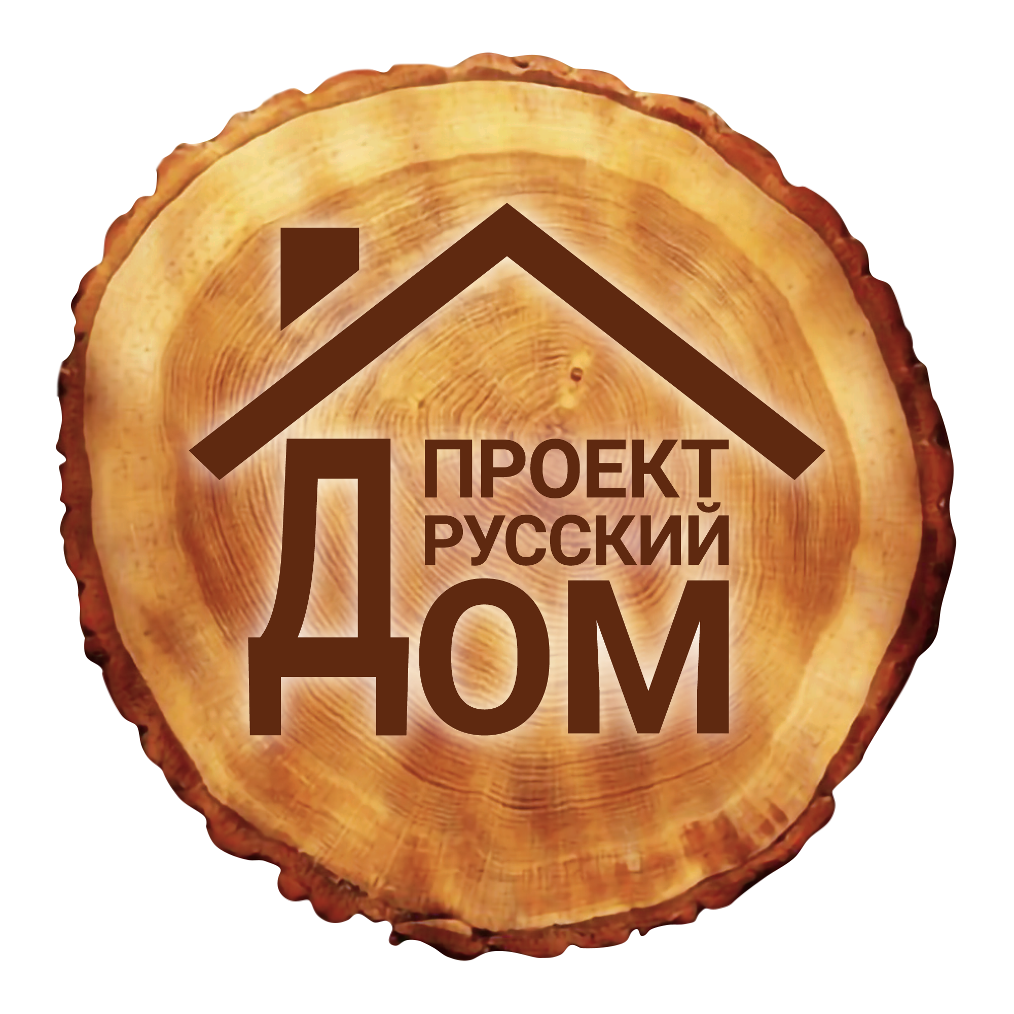 Проект Русский дом